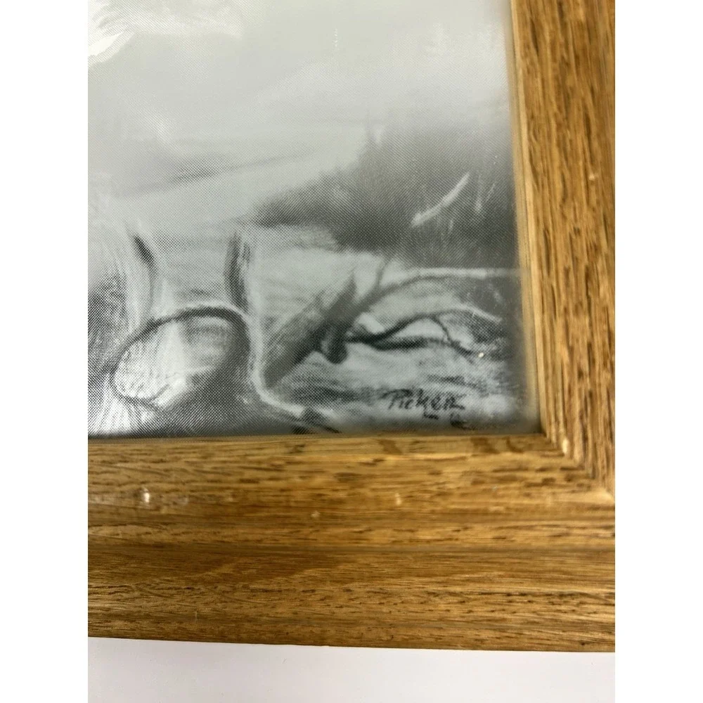 Framed Etched Bald Eagle Decorative Accent Mirror Oak Frame 10